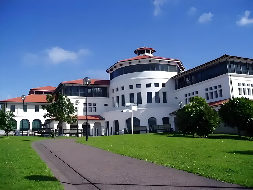 梅西大学